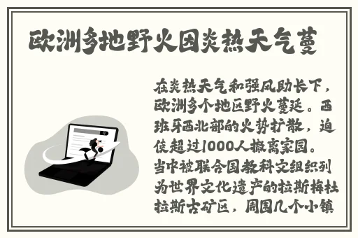 麻豆成人片女王沈樵回归